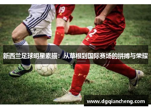 新西兰足球明星素描：从草根到国际赛场的拼搏与荣耀